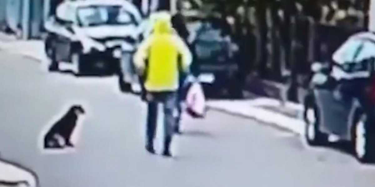 Bezpański pies uratował kobietę. To wideo podbija sieć. Hit internetu