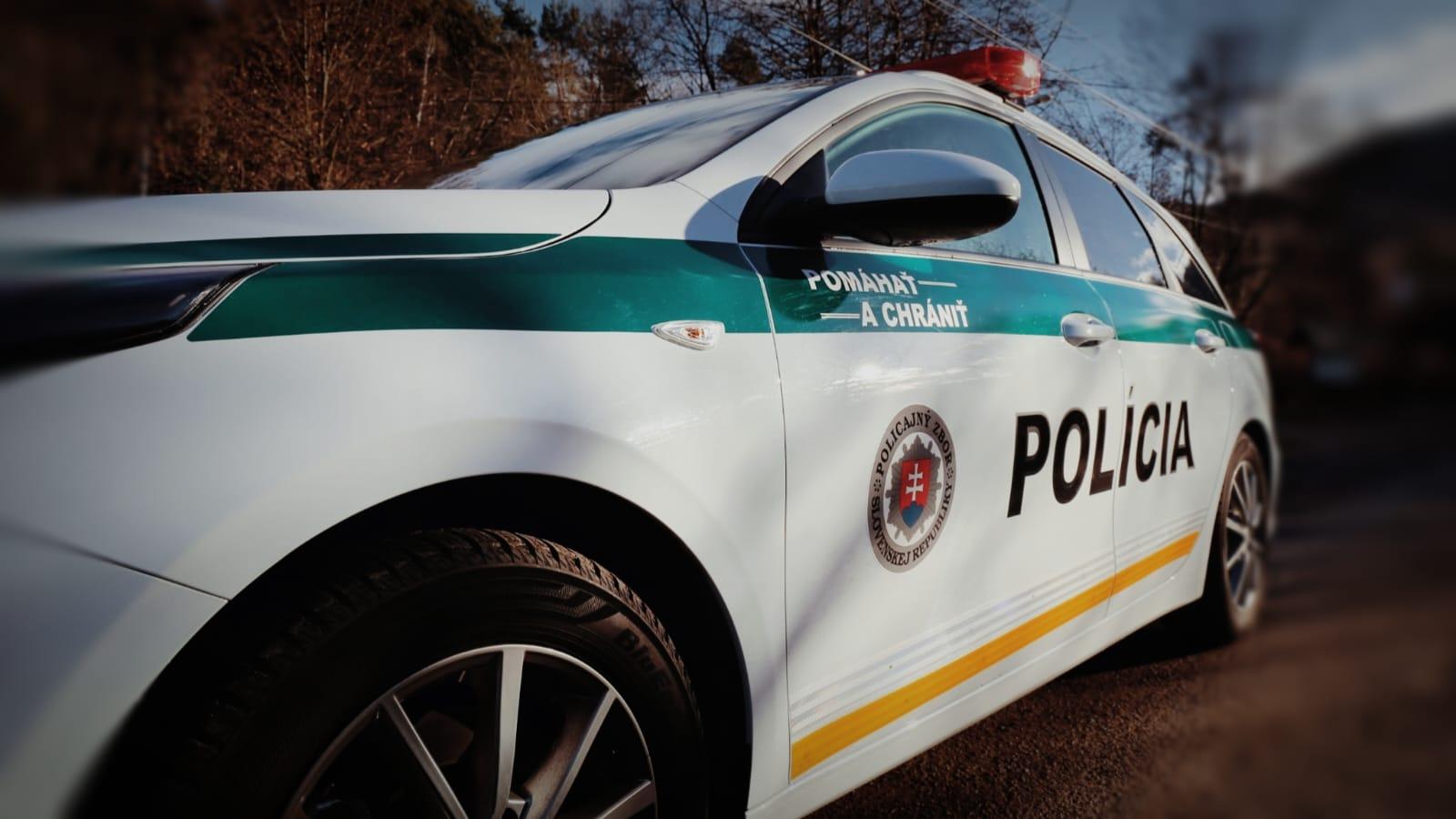 Policajný voz skončil v stĺpe. (ilustračné foto).