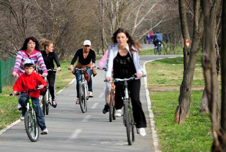 Omiljena biciklistička staza na Adi