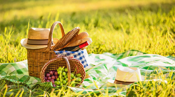 Idén nem rendezik meg a hagyományosan tavasz végén zajló Zsolnay Pikniket és a nyár eleji Sétatér Fesztivált /Fotó: Shutterstock