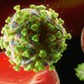 HIV virus particle