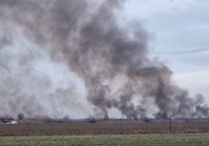 Požar između Veternika i Futoga