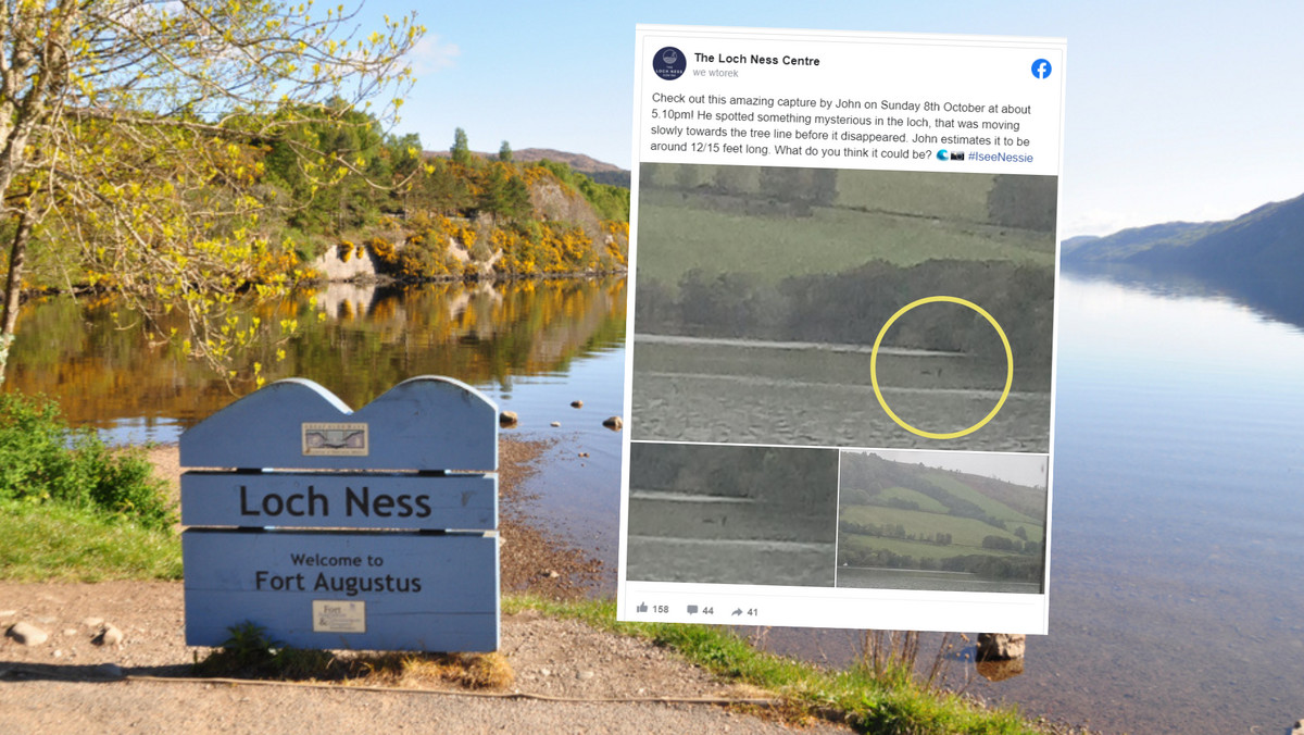 Opublikowano najnowsze fotografie z Loch Ness. Czy to potwór?