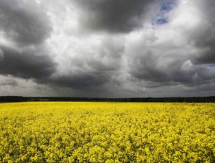 Unijne dopłaty dla rolników w przyszłości spowiją czarne chmury