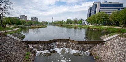 Tragedia w Warszawie. Ratował dziecko w stawie, utonął