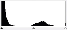 Lewy histogram wskazuje na zbyt przepalony obraz, a prawy na zbyt ciemny.