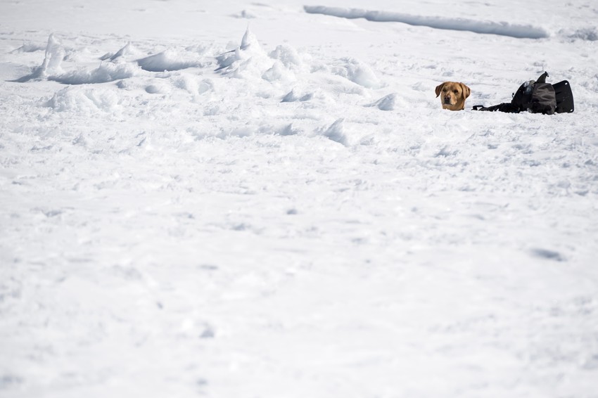 Spasavanje iz lavine u Švajcarskoj