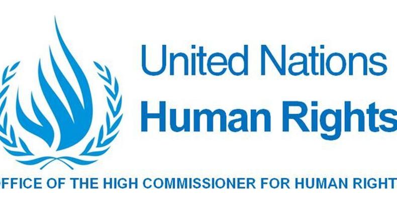 Office of the UN High Commissioner for Human Rights (OHCHR)