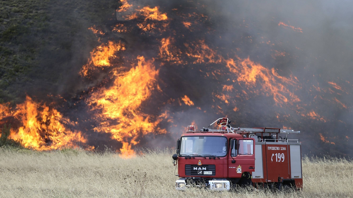 Pożary w Grecji: tysiące hektarów lasów spłonęło