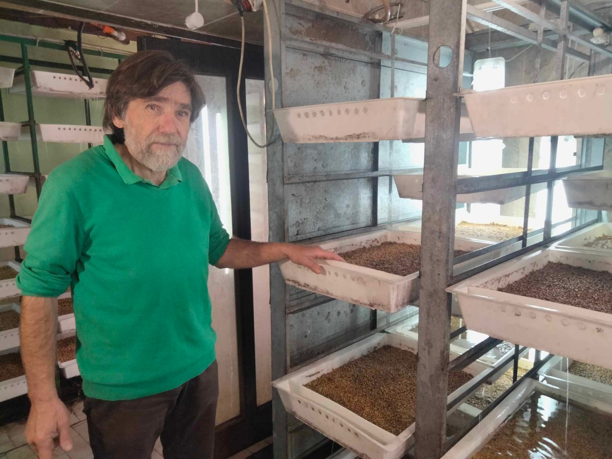 Posle zemalja regiona, prodaja zrna ječma i spelte proširena je i na Austriju, Nemačku, Švajcarsku...