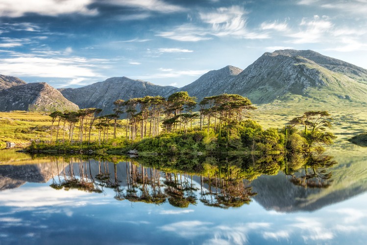 Connemara w Irlandii – Park Narodowy Connemara na zachodnim wybrzeżu Irlandii. Dominującym krajobrazem są fioletowe wrzosowiska oraz wzgórza Twelve Bens. Wstęp do parku jest bezpłatny.