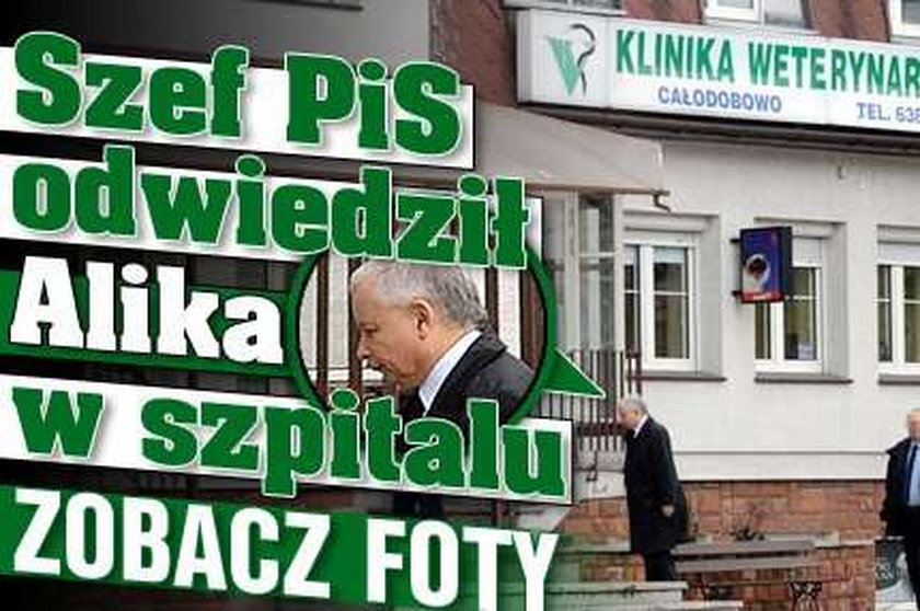 Szef PiS odwiedził Alika w szpitalu. ZDJĘCIA