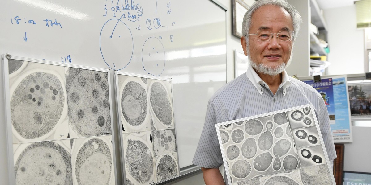 Nobla w dziedzinie medycyny i fizjologi otrzymał prof. Yoshinori Ohsumi 