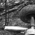 "Cześć, giniemy". 37. rocznica katastrofy w Lesie Kabackim. Oto zapis z czarnej skrzynki
