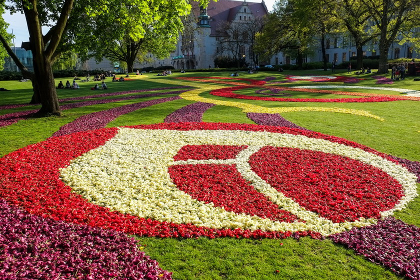 Kwiatowe dywany w parku im. Adama Mickiewicza