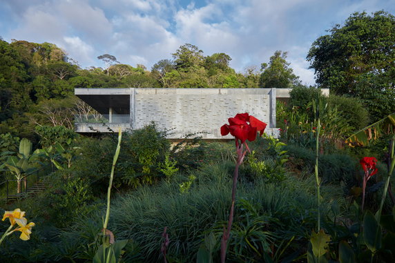 Luksusowa 'Art Villa' w surowym krajobrazie dzikiej dżungli
