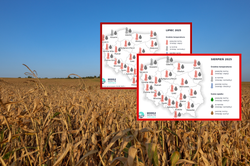 Radykalna zmiana w pogodzie? IMGW ostrzega [PROGNOZA DŁUGOTERMINOWA]