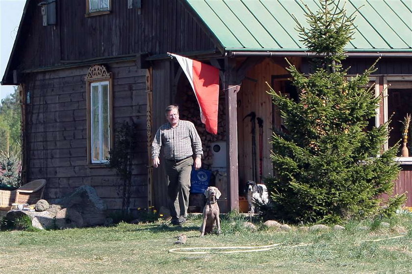 Co zwierzęta powiedzą im na święta?