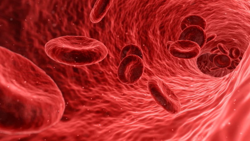 Krew wytworzona w laboratorium podana pierwszym pacjentom, fot. CC BY-SA 4.0, via Wikimedia Commons