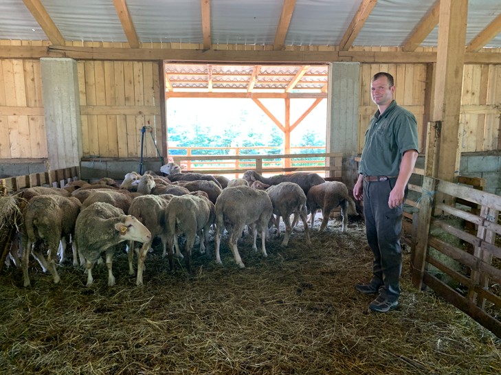 Haluska István minden eszközt bevet, hogy megvédje a nyájat 