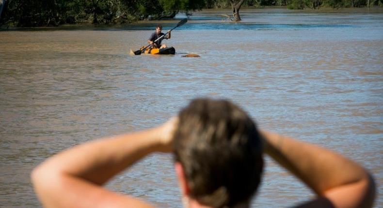 A resident watches as a property owner paddles a kayak to rescue a cow, stranded in floodwaters caused by Cyclone Debbie, in North MacLean, Brisbane