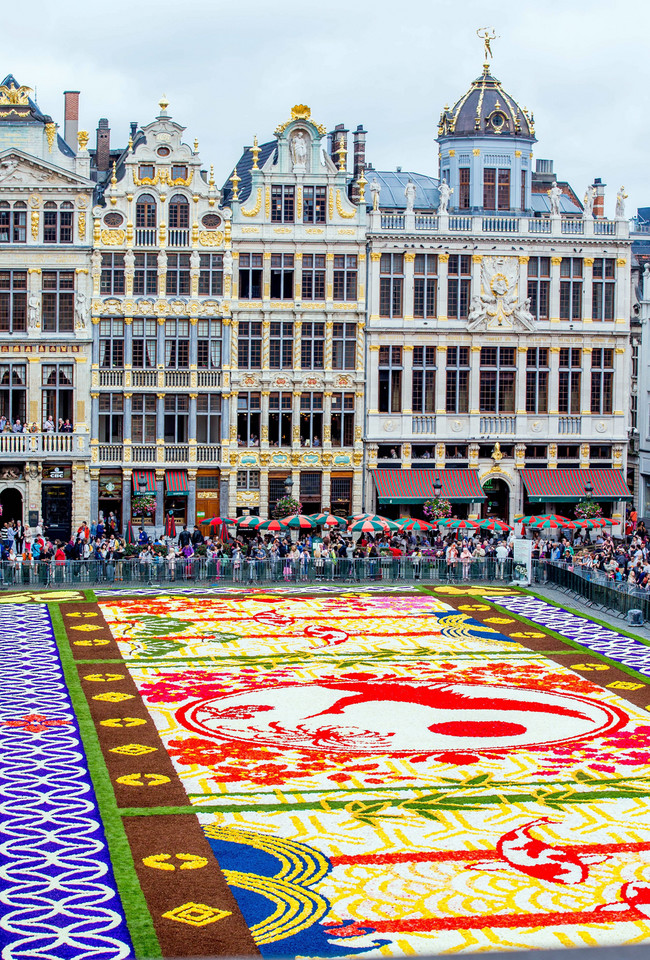 BELGIUM GIANT FLOWER CARPET (20th giant flower carpet in Brussels)