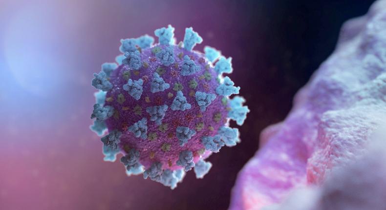 coronavirus image stock