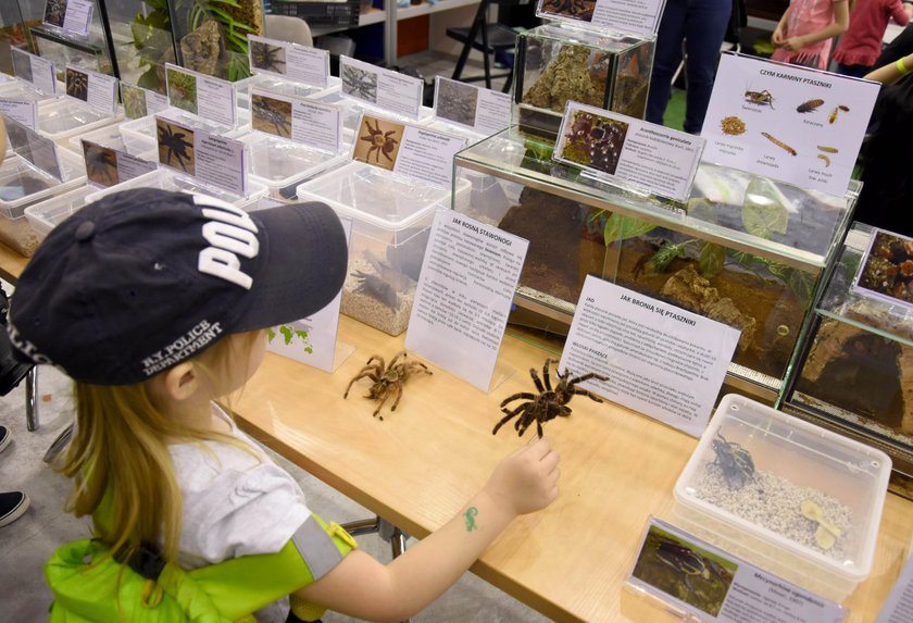 Największa zoowystawa w Międzynarodowym Centrum Kongresowym