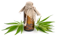 5 najzdrowszych rzeczy z konopi