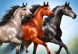 Test ličnosti sa konjima