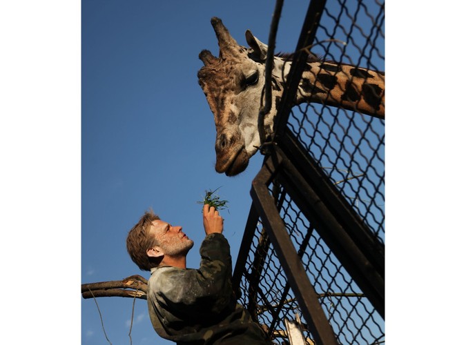 Woli i Tysio na pokładzie