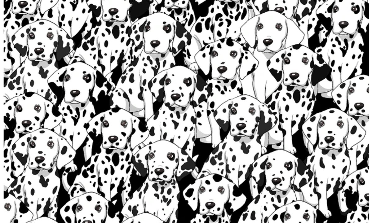 Znajdź innego psa pośród dalmatyńczyków. Najlepszym wystarczy pięć sekund