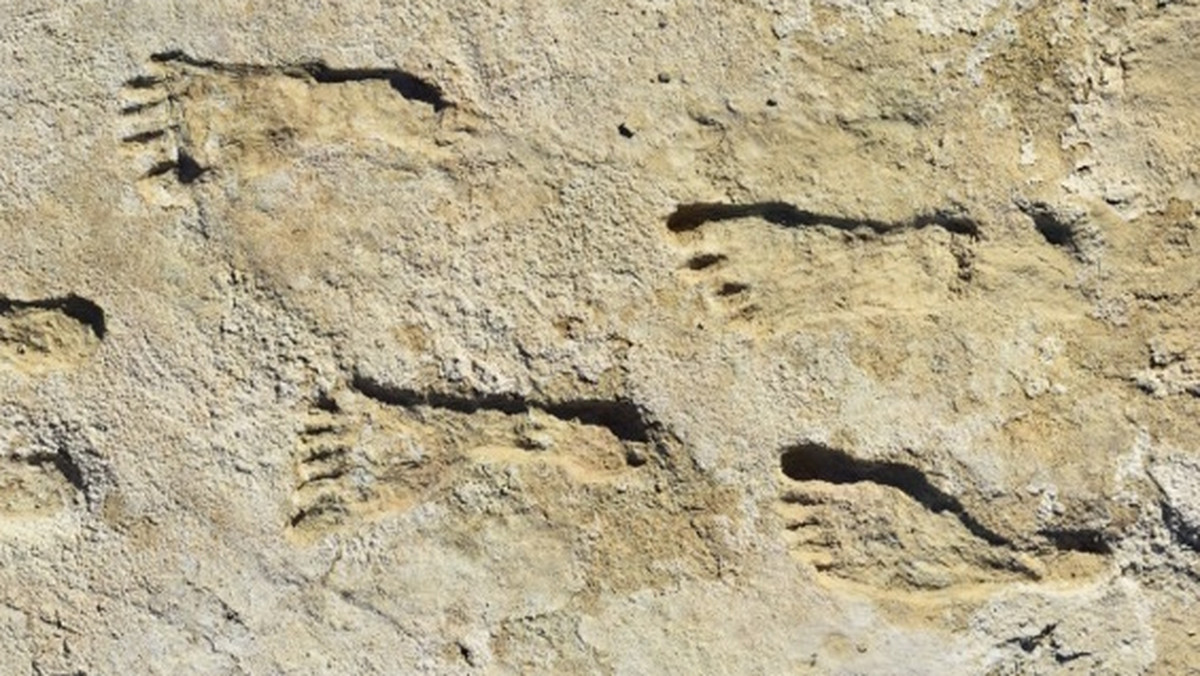 Homo sapiens podbił Amerykę tysiące lat wcześniej, niż myśleliśmy