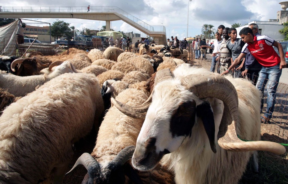 Pierwsze Eid Al Adha po upadku reżimu