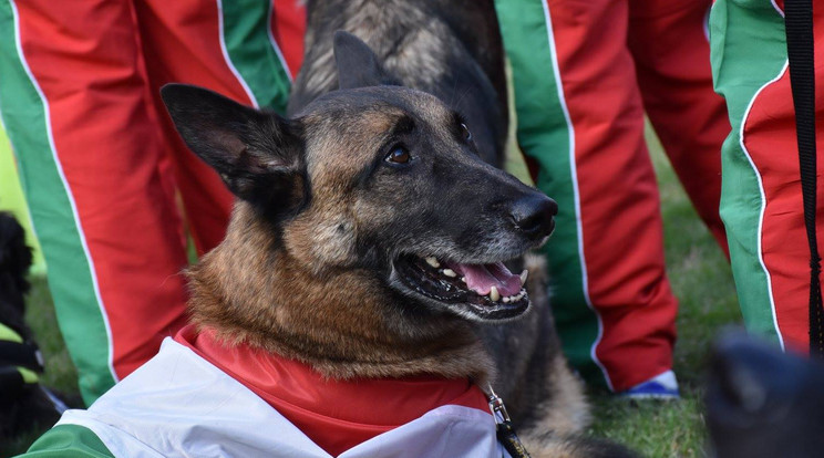 Magyar siker olaszországban