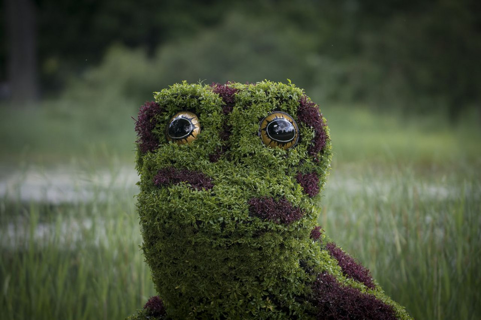 fot. Guy Boily/Montreal International Mosaicultures 2013 Show Exhibition