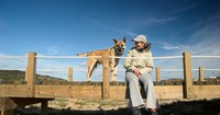 After 529 days a lost dachshund in Australia