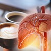 Kafa štiti od bolesti jetre bez obzira na to da se pije obična ili bez kofeina