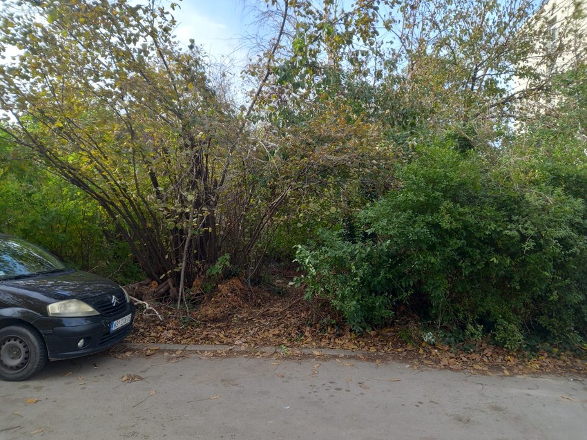 Uviđaj na licu mesta