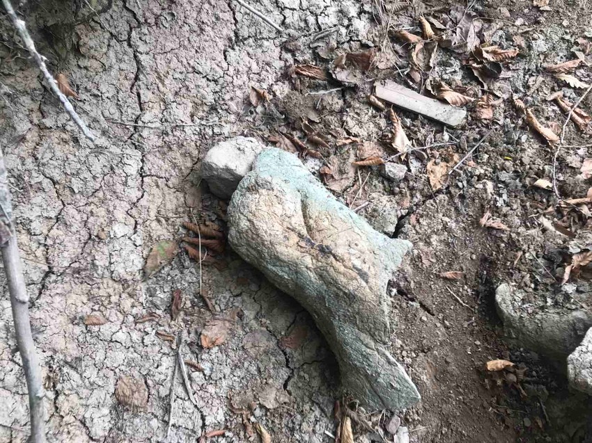 Miljkoviću ovaj deo stene liči na kandžu ili zub