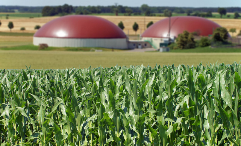 Lewiatan: technologie biogazowe to szansa dla lokalnej przedsiębiorczości