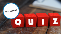 Niesamowicie szybki QUIZ z WIEDZY OGÓLNEJ. Odpowiadasz tylko "tak" lub "nie". Jak szybko uda ci się go rozwiązać? Sprawdź!
