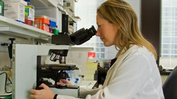 test-na-raka-jelita-grubego-cena-objawy