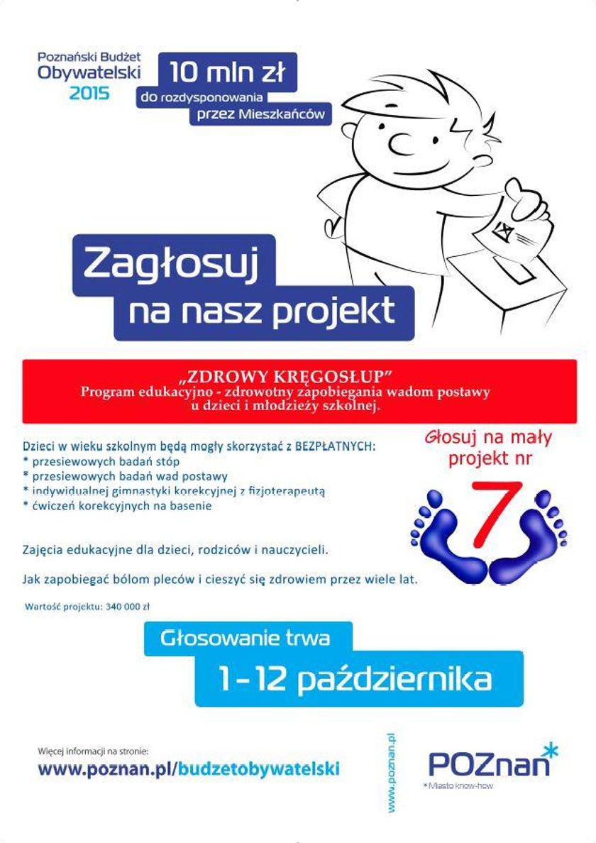 Małe projekty do budżetu obywatelskiego w Poznaniu – część 2