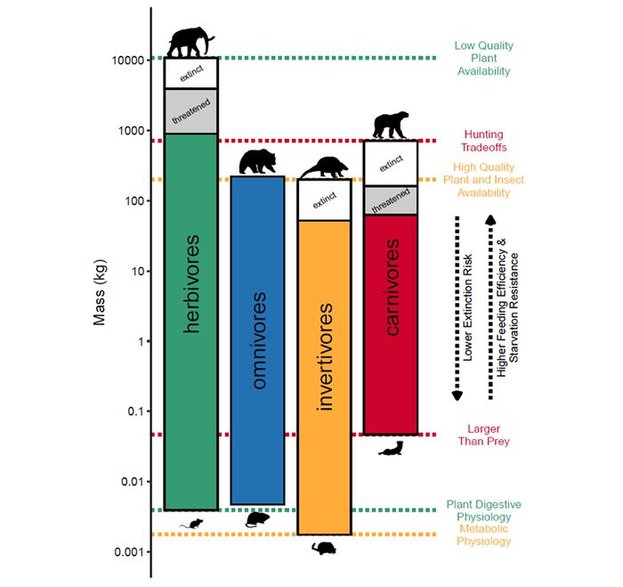 Wykres przedstawia zależność między dietą a rozmiarami/masą u ssaków lądowych. Na szaro zaznaczono gatunki zagrożone obecnie wyginięciem, na biało te, które już wyginęły