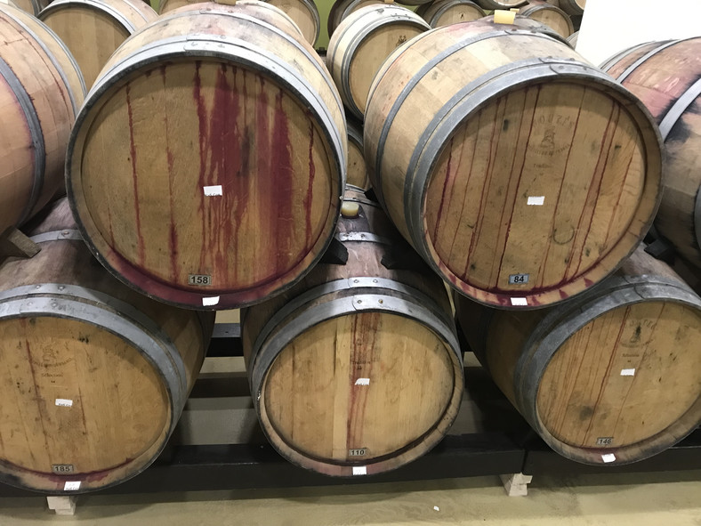 Beczki z czerwonym winem leżakujące w głębokiej piwnicy winiarni Warna