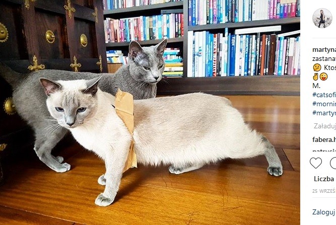 Jak mieszka Martyna Wojciechowska