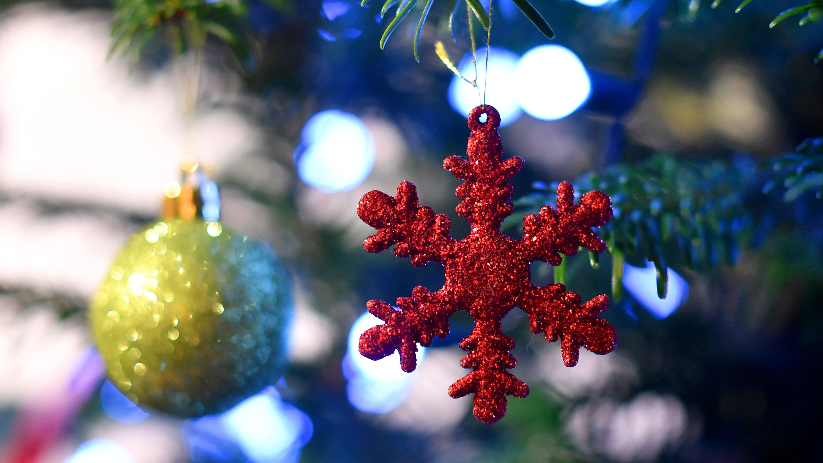 Inverness school cancels Christmas show after racist abuse wave