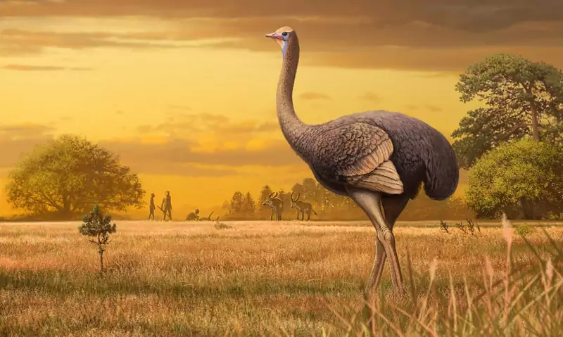 Prehistoryczny ptak, którego kości odkryto w Europie, mógł mierzyć nawet 3,5 metra