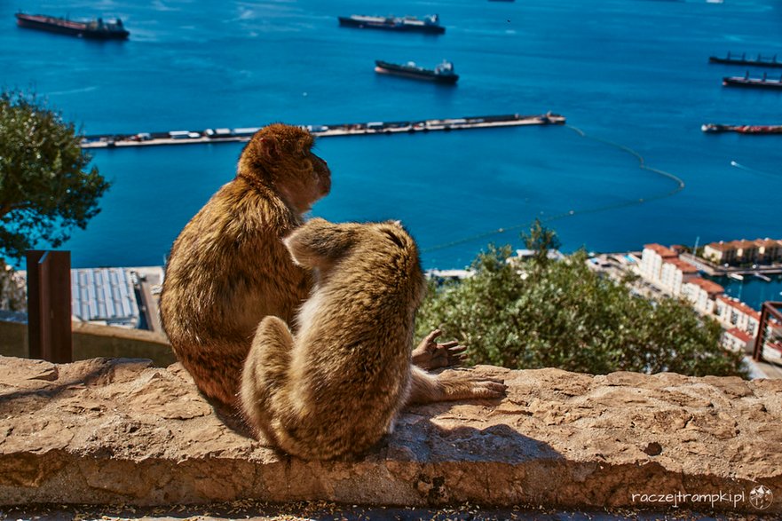 Gibraltar. fot. Raczejtrampki 